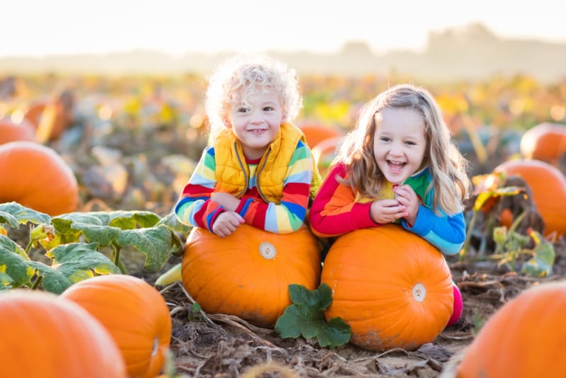 Halloween in Myrtle Beach 8 Ways to Celebrate North Shore Hotel