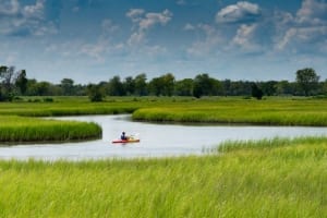 Photo of a Paddler in a Marshland Using One of the Area's Most Affordable Myrtle Beach Kayak Rentals.